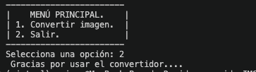Opción de salida de la aplicación